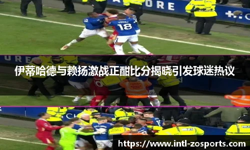 中欧体育