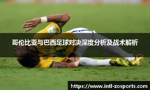 中欧体育官网