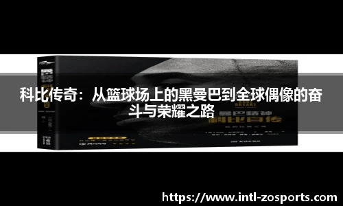 中欧体育